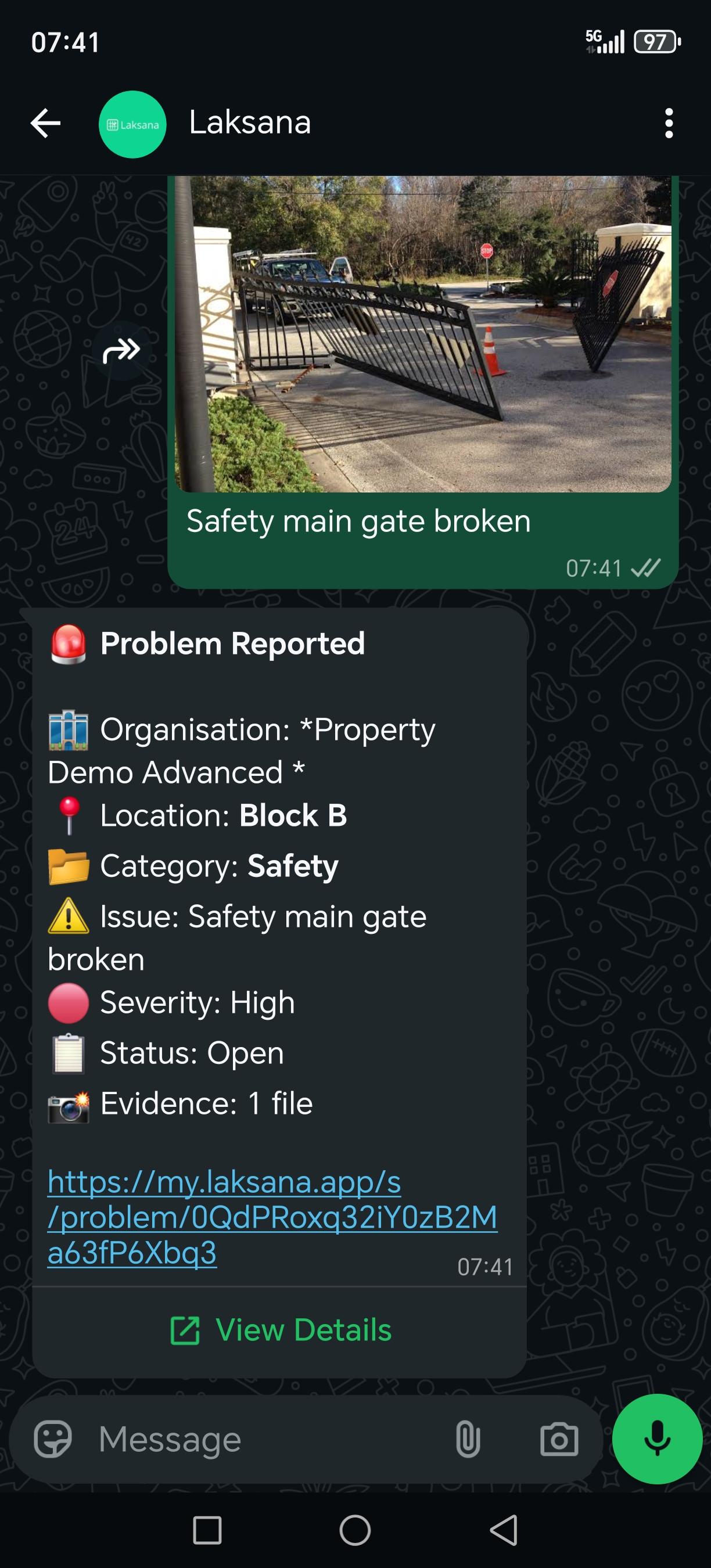 Issue Report